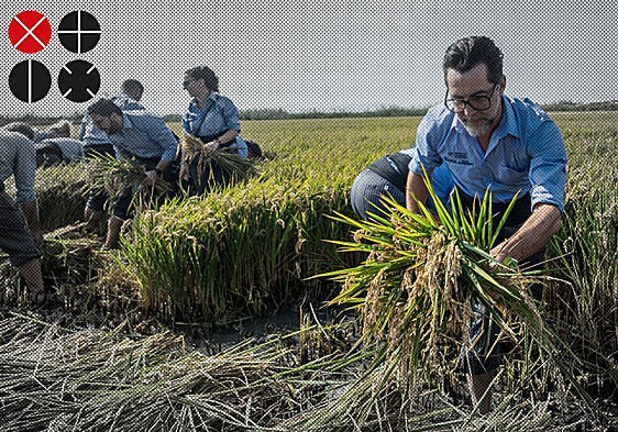 Los mejores chefs cambian los cuchillos por la corbella