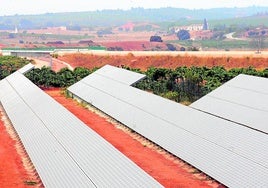 Parque solar fotovoltaico instalado entre viñedos ubicados en Requena.