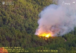 Imagen de la cámara térmica de la zona donde se ha localizado el incendio.