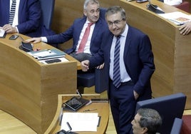 Joé Antonio Rovira, conseller de Cultura, en Les Corts.