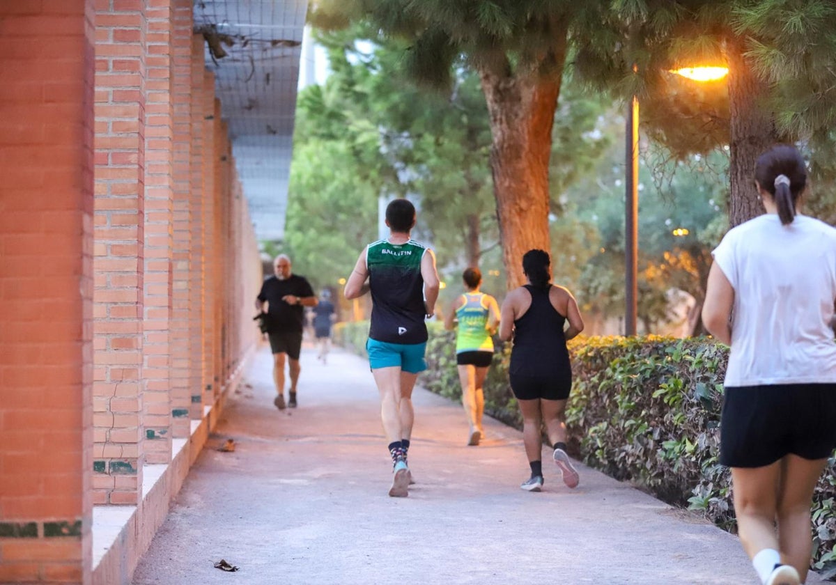 El jardín del Edén de los corredores