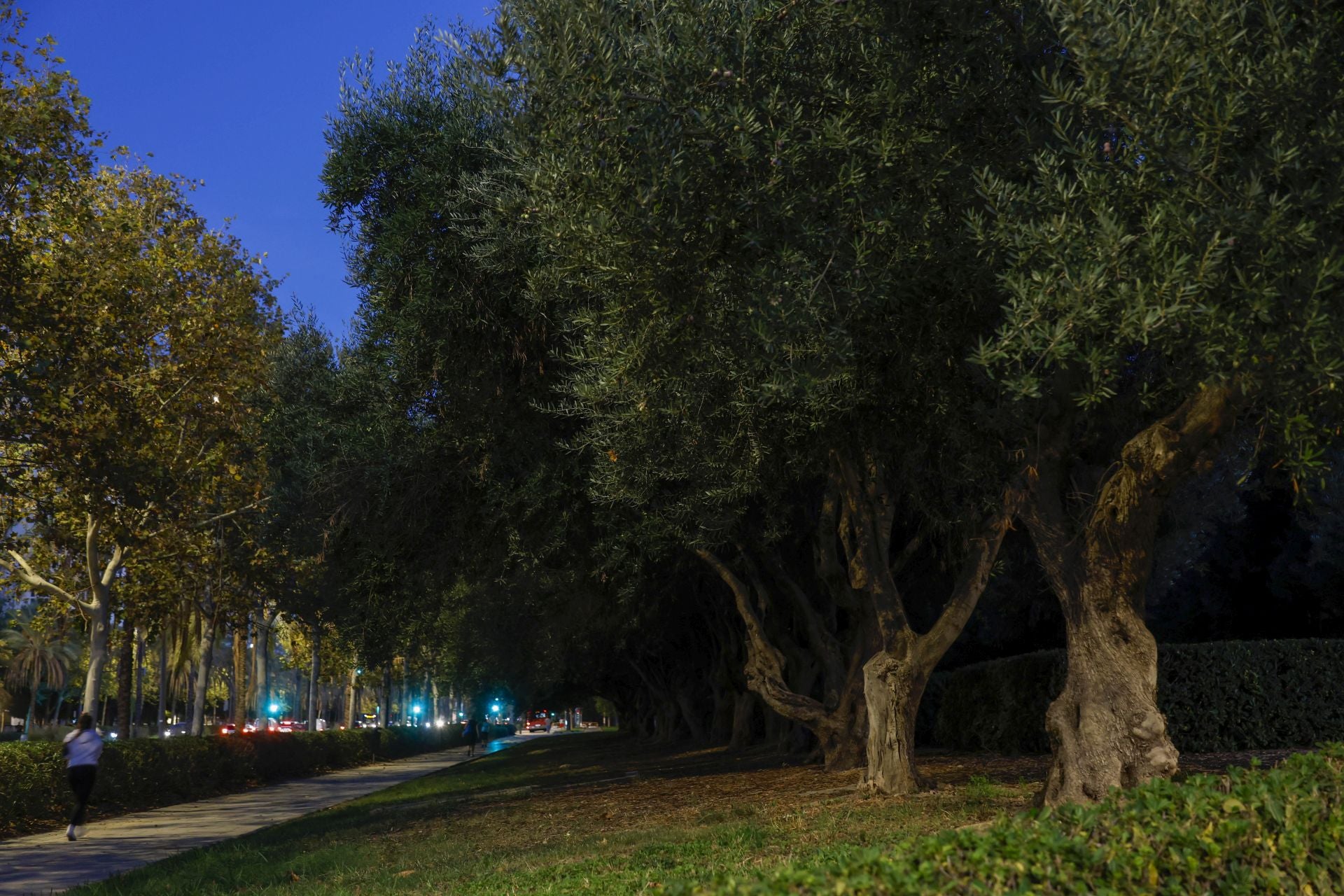 Falta de alumbrado en el entorno del hospital La Fe de Valencia