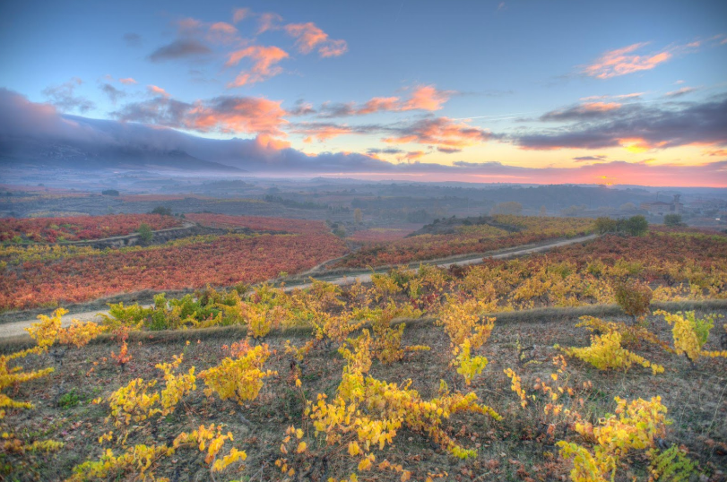 Rioja Alavesa