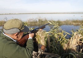 Un cazador apunta a su presa.