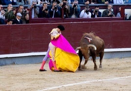 Ponce recibe a Requiebro, al que desorejó en Madrid el pasado sábado.