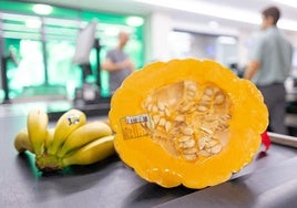 Calabaza de asar en la línea de caja de Mercadona.