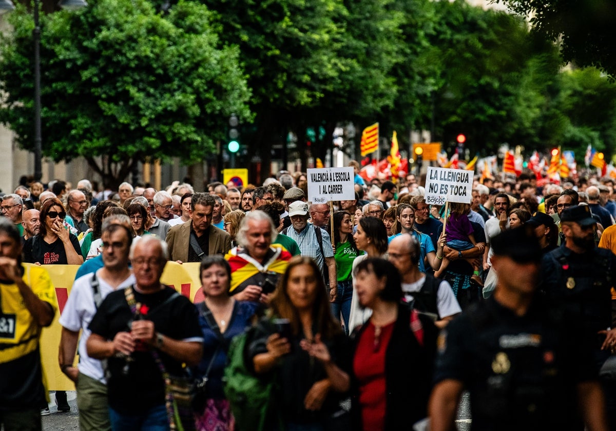 Paso de la protesta del 9 d'Octubre en la calle Colón.