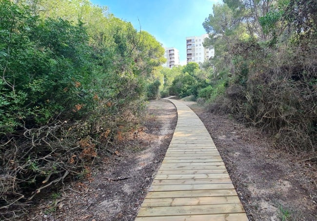 Nueva pasarela de madera en la Gola de Pujol.