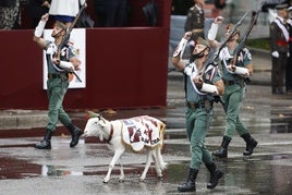 El borrego Killo, en el desfile del 12 de octubre.