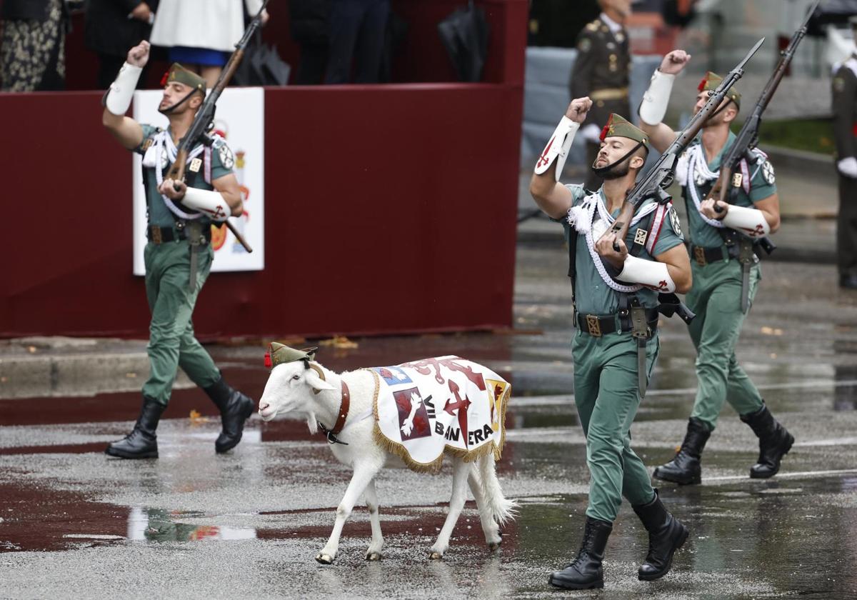 El borrego Killo, en el desfile del 12 de octubre.