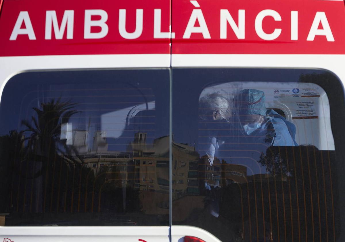 Muere una mujer en Castellón tras ser mordida por un hámster