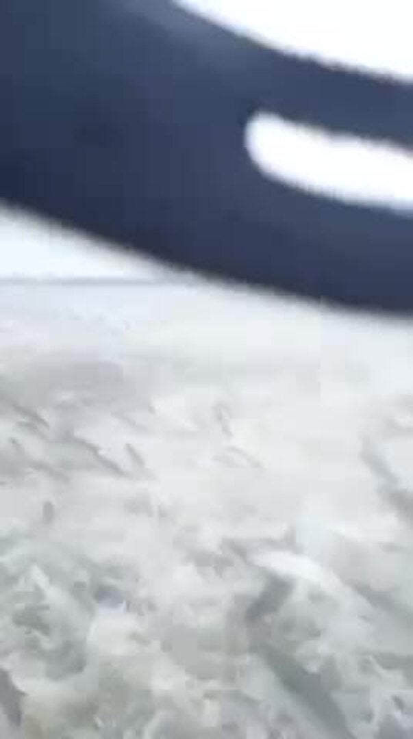 Un pescador del Palmar se hace viral con un vídeo de su captura de 700 kilos de lisa que saltan sobre su barca