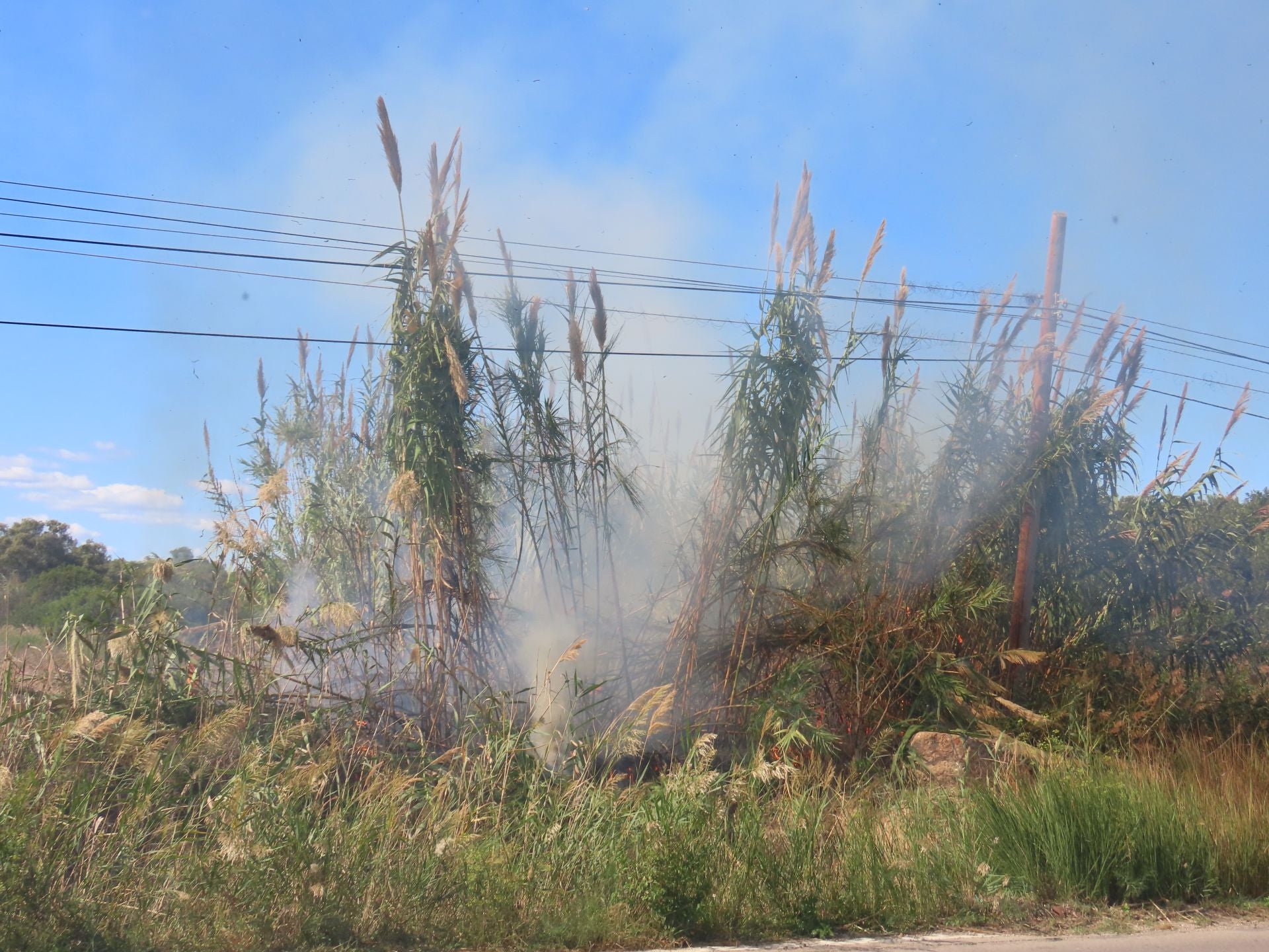 Los bomberos intervienen una quema de paja del arroz descontrolada en un campo junto a la Albufera