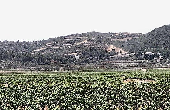 Vecinos de la Vall de Pop exigen al Ministerio parar la tramitación de la concesión hídrica para el plan urbanístico de Llíber