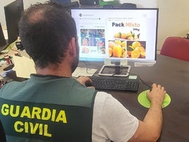 Investigado el administrador de una empresa de Gandia por estafa en la compra fraudulenta de naranjas