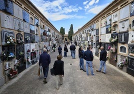 Varias personas caminan por una de las calles del cementerio de Valencia.