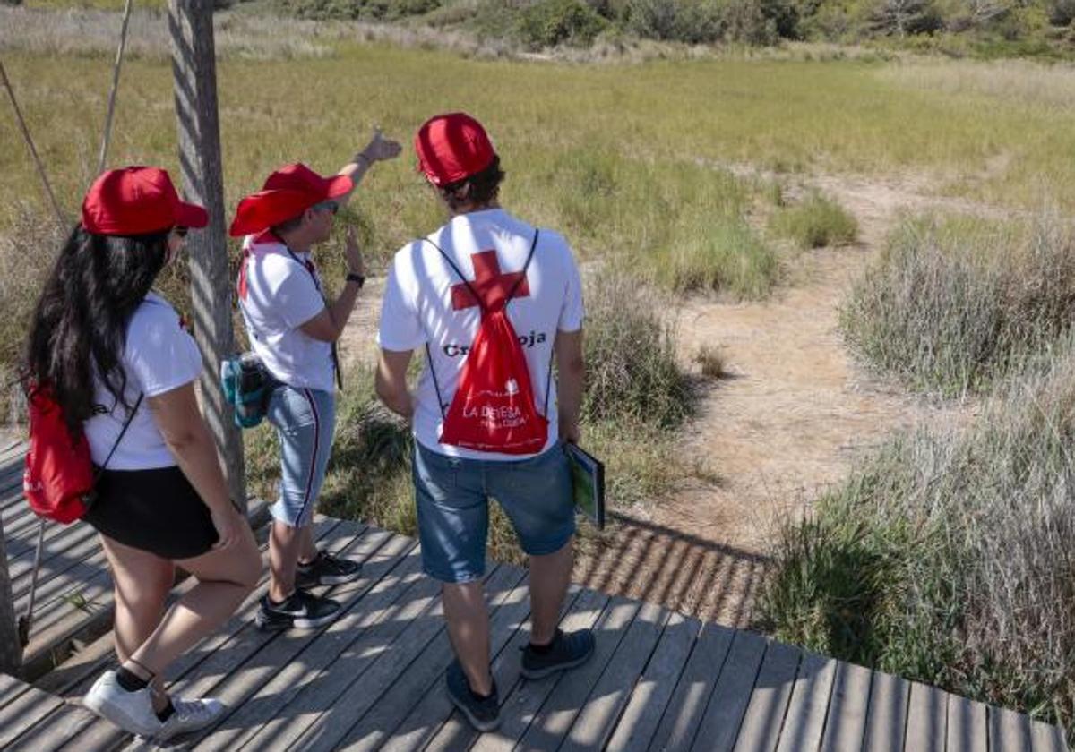 Un grupo de voluntarios de Cruz Roja, en una imagen de archivo.