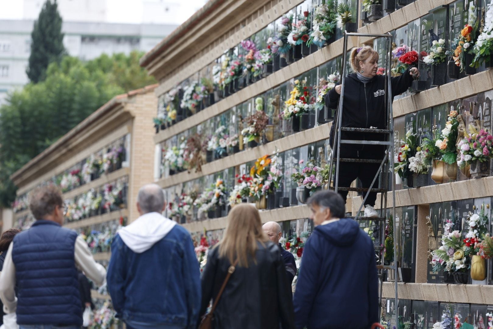 El Cementerio de Valencia se prepara para el día de Todos los Santos