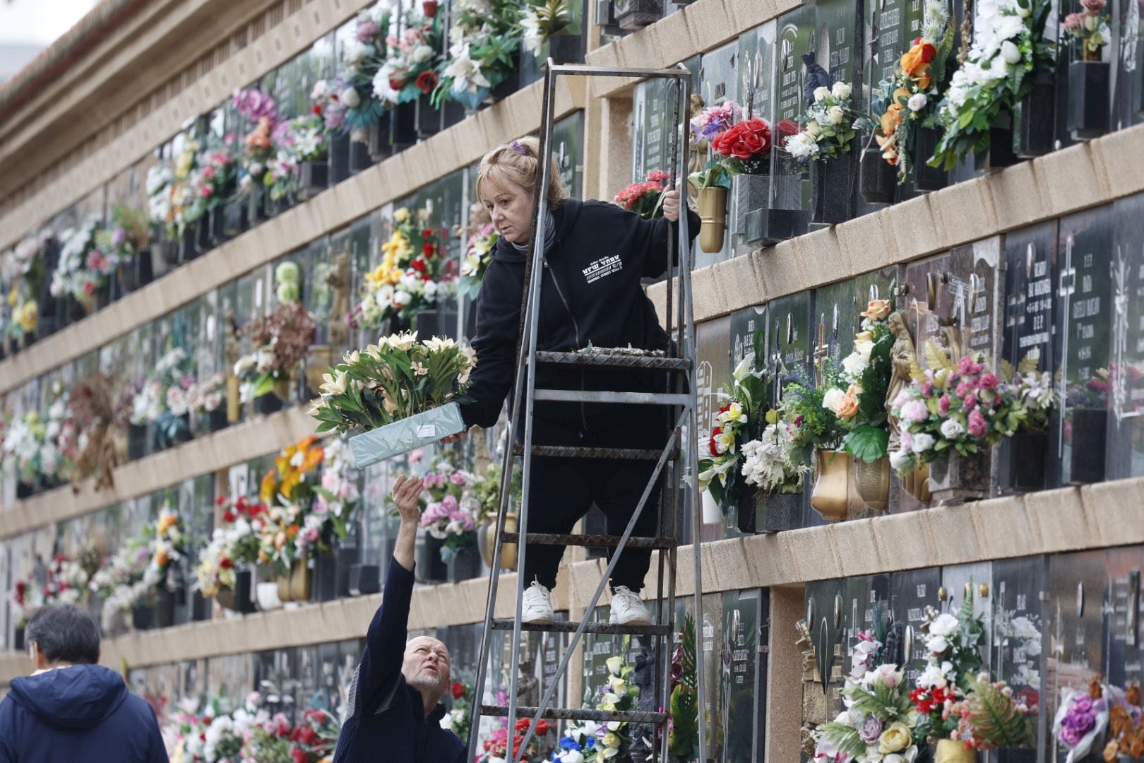 El Cementerio de Valencia se prepara para el día de Todos los Santos