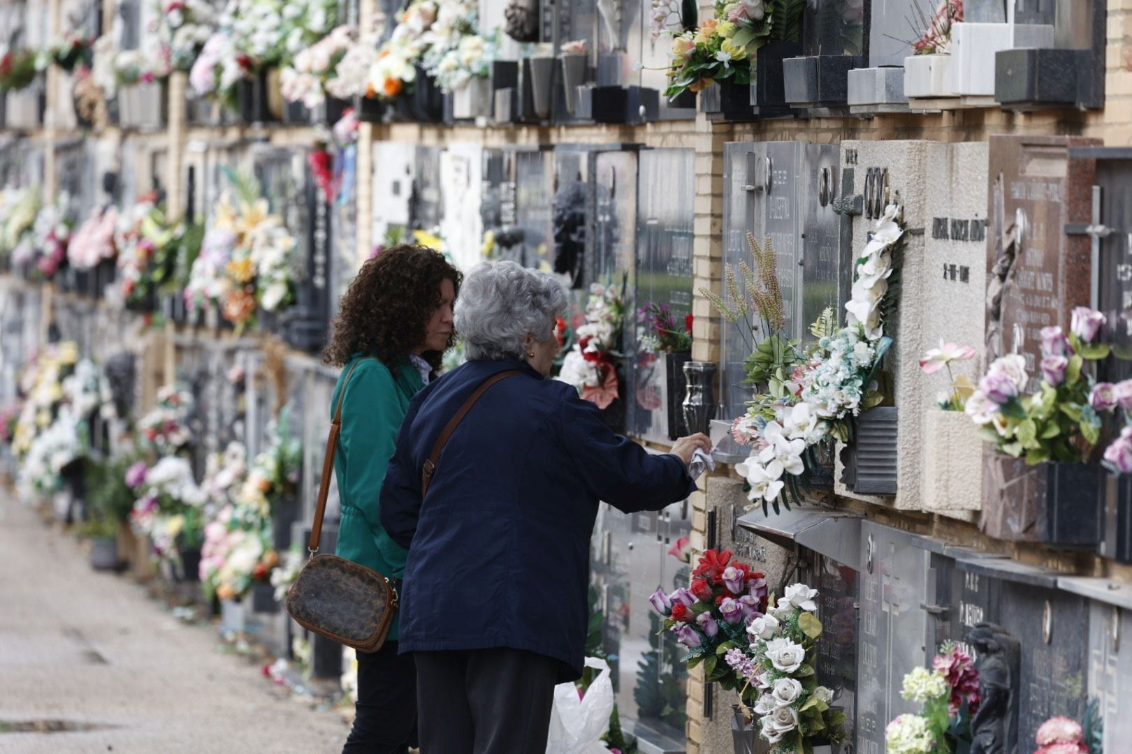 El Cementerio de Valencia se prepara para el día de Todos los Santos