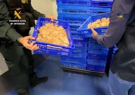 Agentes de la Guardia Civil trasladan alimentos intervenidos en una de las operaciones.