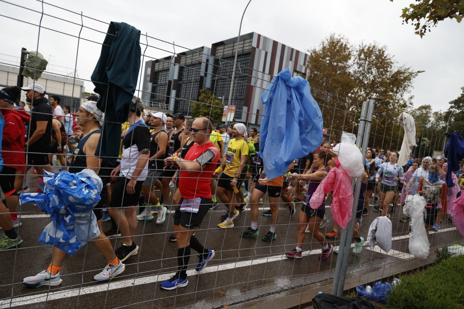 Las mejores imágenes del Medio Maratón de Valencia 2024