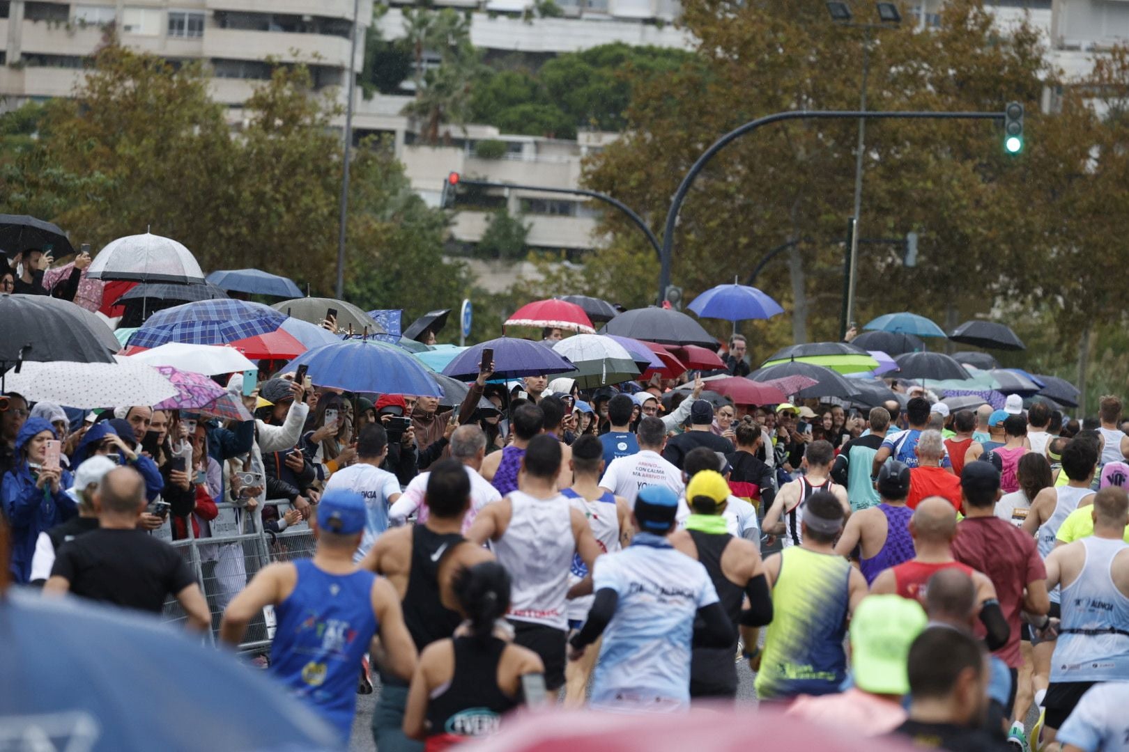 Las mejores imágenes del Medio Maratón de Valencia 2024