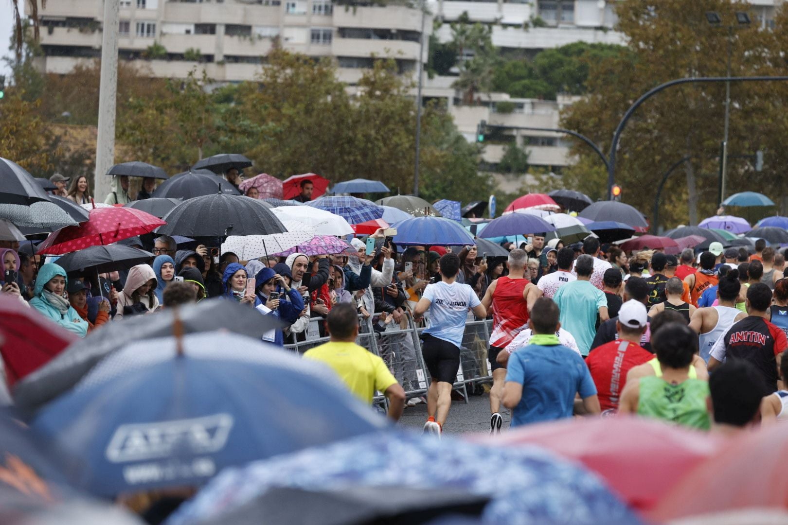 Las mejores imágenes del Medio Maratón de Valencia 2024