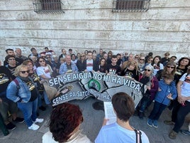 La protesta de la plataforma frente a la Delegación del Gobierno en Valencia.