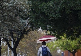 Avenida de Tarongers durante las lluvias de este martes.