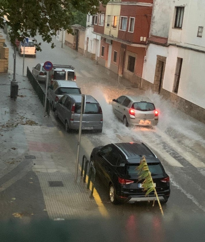 Imagen secundaria 2 - Un árbol caído sobre una valla y situación en Carlet.