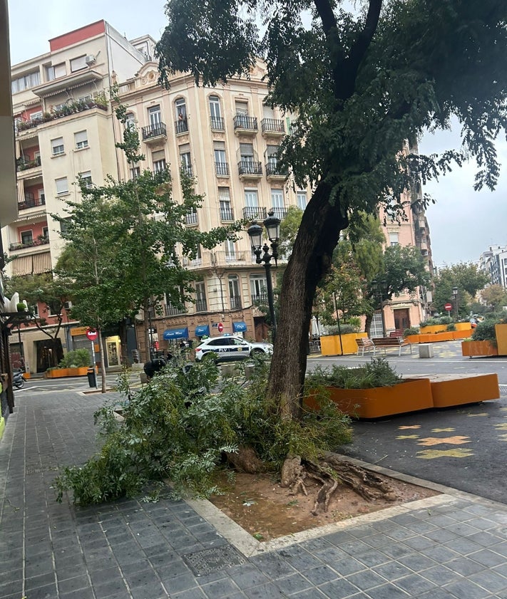 Imagen secundaria 2 - Ramas caídas en la supermanzana de la Petxina este mediodía de martes.