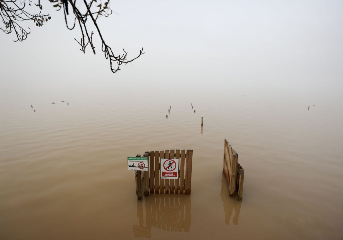 Estado del lago de la Albufera, en la Gola de Pujol.