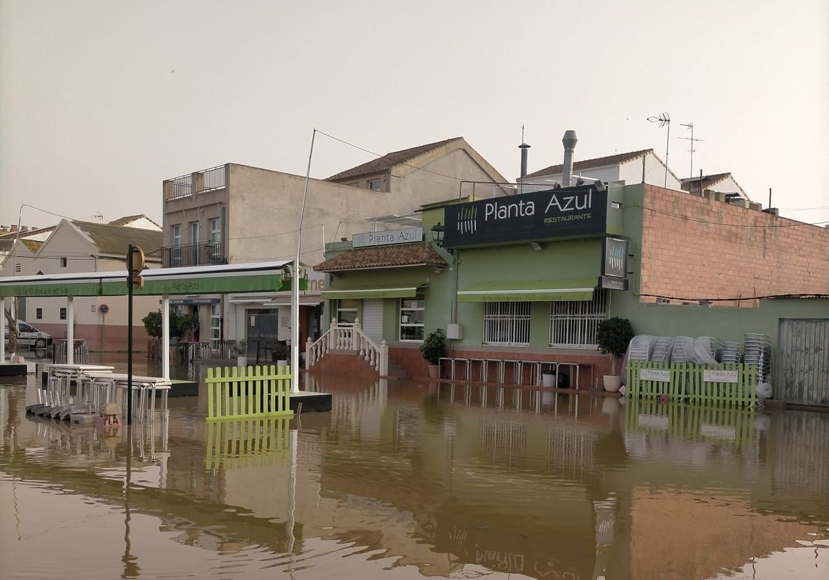 Imagen actual del estado de El Palmar