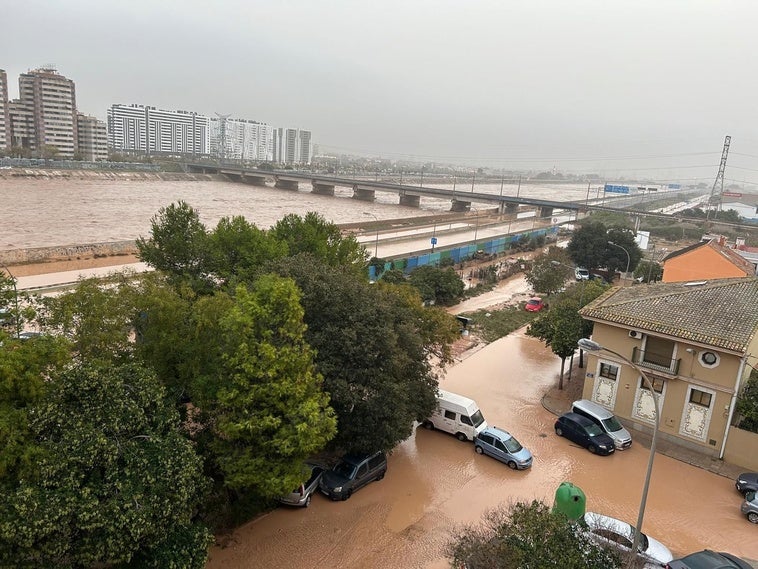 FOTOS | Así está el nuevo cauce del Turia a su paso por Valencia: unas imágenes nunca vistas