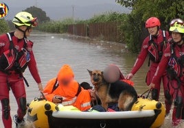 Imagen de rescate.