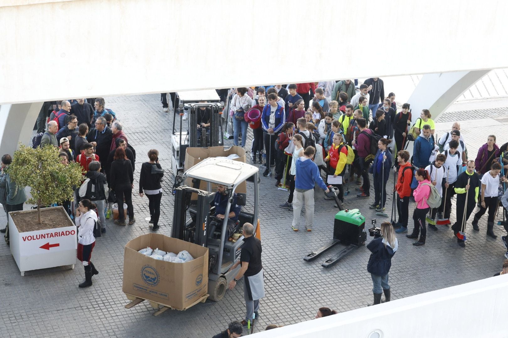 Fotos: miles de voluntarios acuden al Museo Príncipe Felipe de Valencia