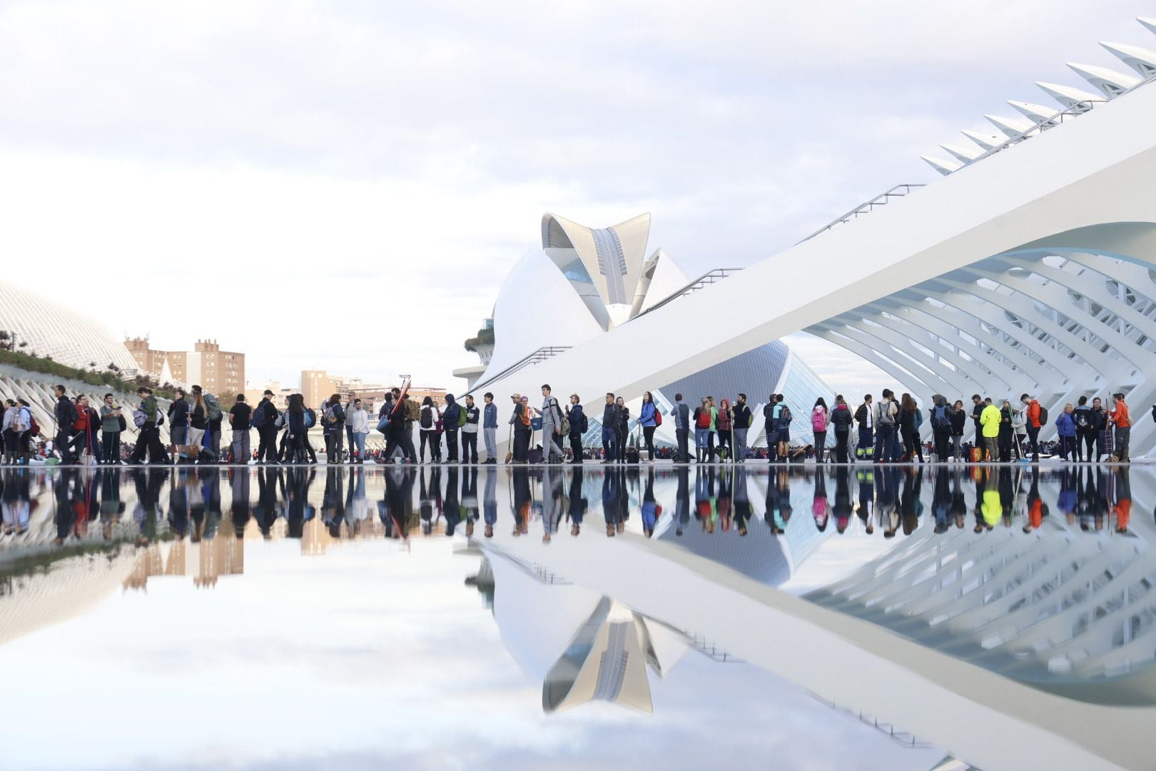 Fotos: miles de voluntarios acuden al Museo Príncipe Felipe de Valencia