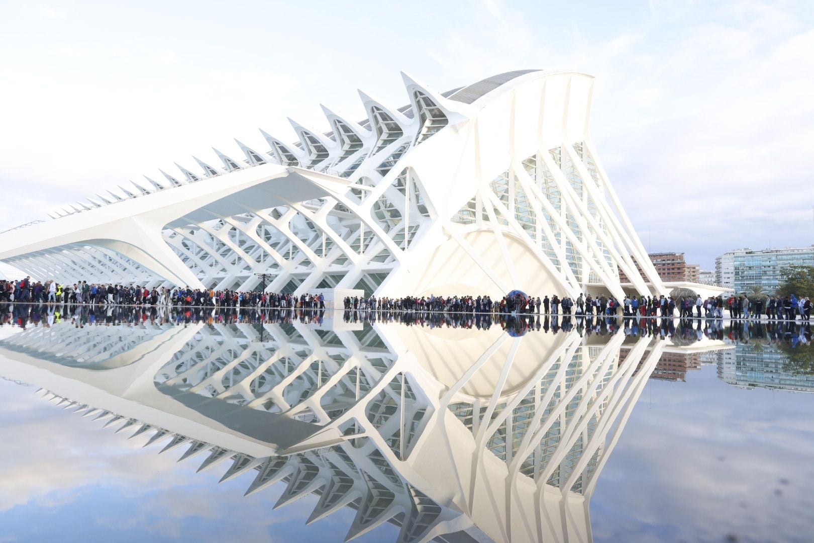 Fotos: miles de voluntarios acuden al Museo Príncipe Felipe de Valencia