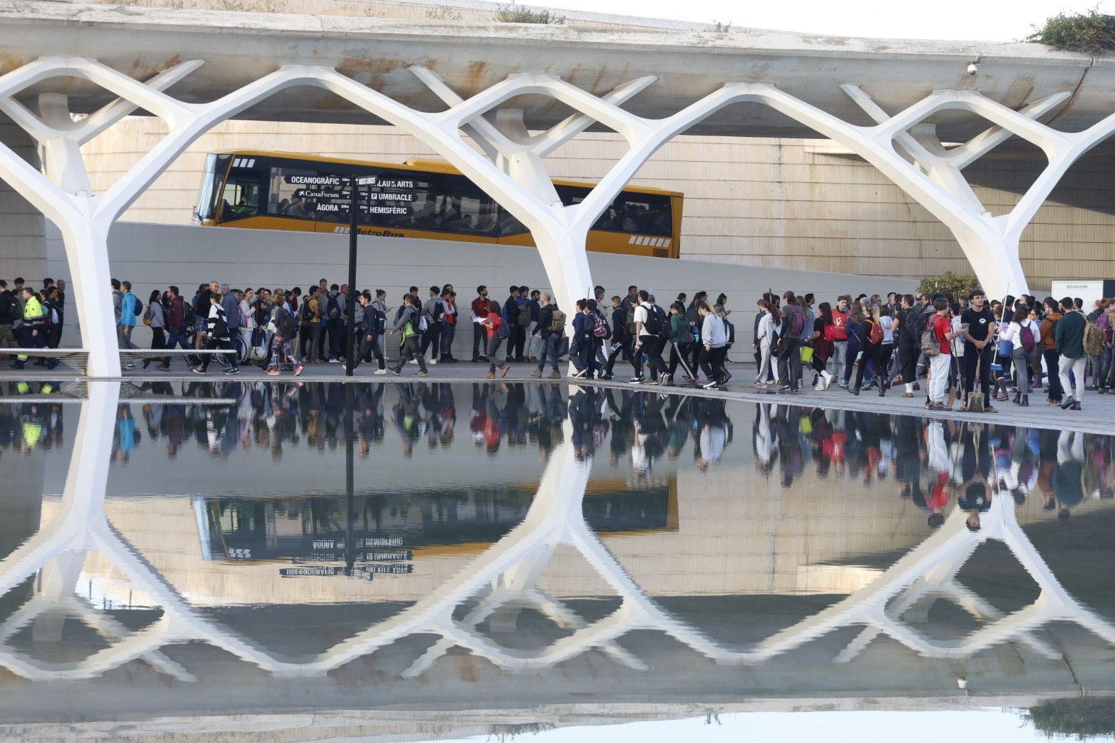 Fotos: miles de voluntarios acuden al Museo Príncipe Felipe de Valencia