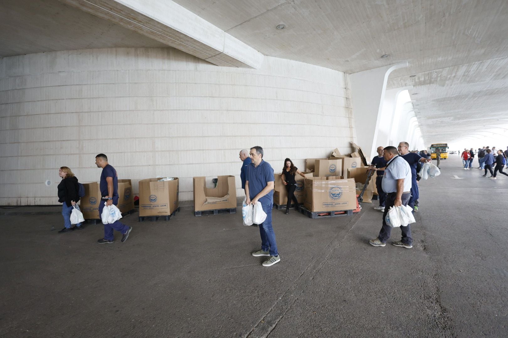 Fotos: miles de voluntarios acuden al Museo Príncipe Felipe de Valencia