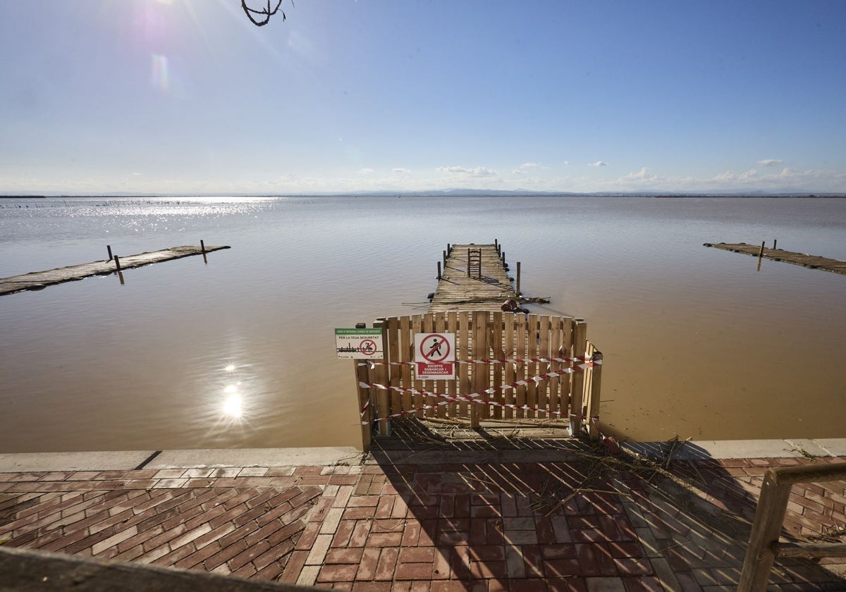 Hallan una víctima entre cañares de la Albufera