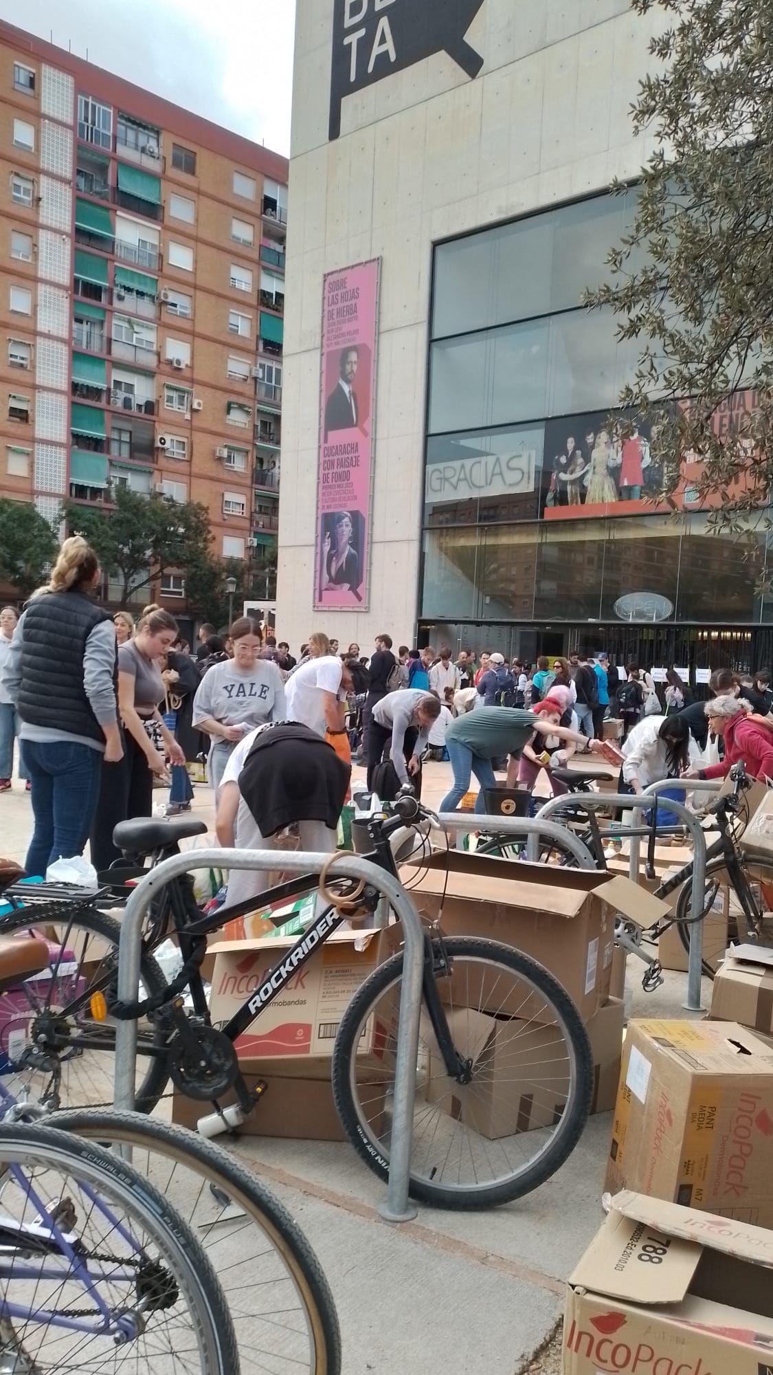 Fotos: la oleada de voluntarios continúa imparable