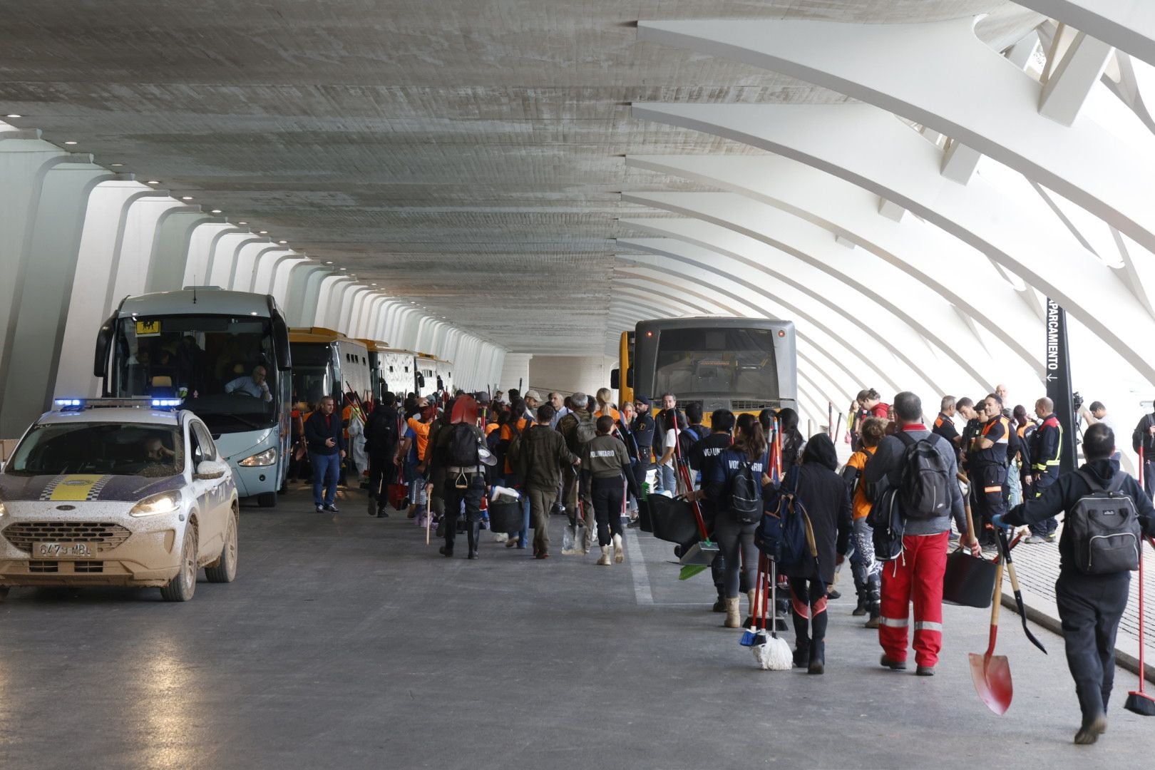 Fotos: voluntarios en la Ciudad de las Artes y las Ciencias de Valencia