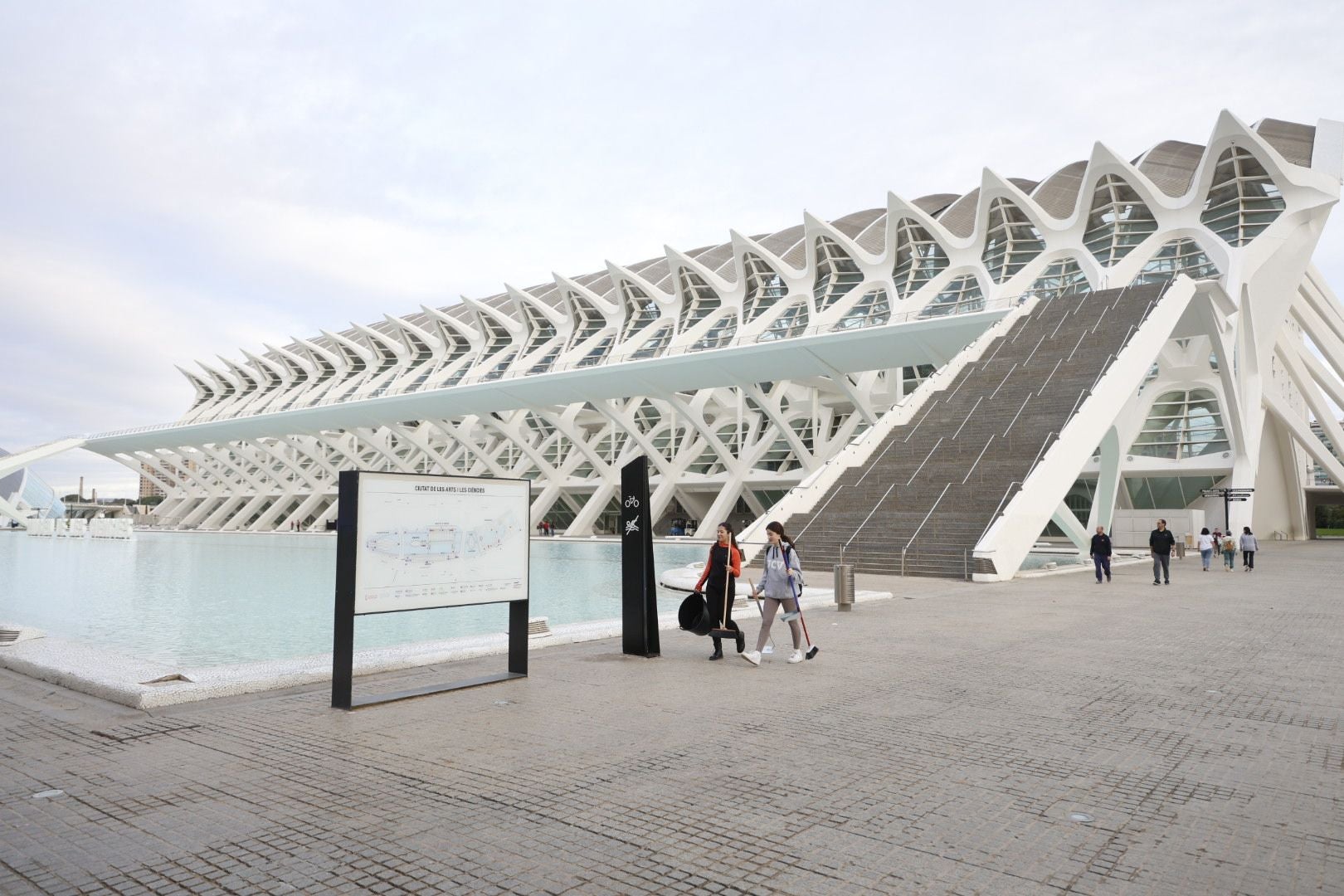 Fotos: voluntarios en la Ciudad de las Artes y las Ciencias de Valencia