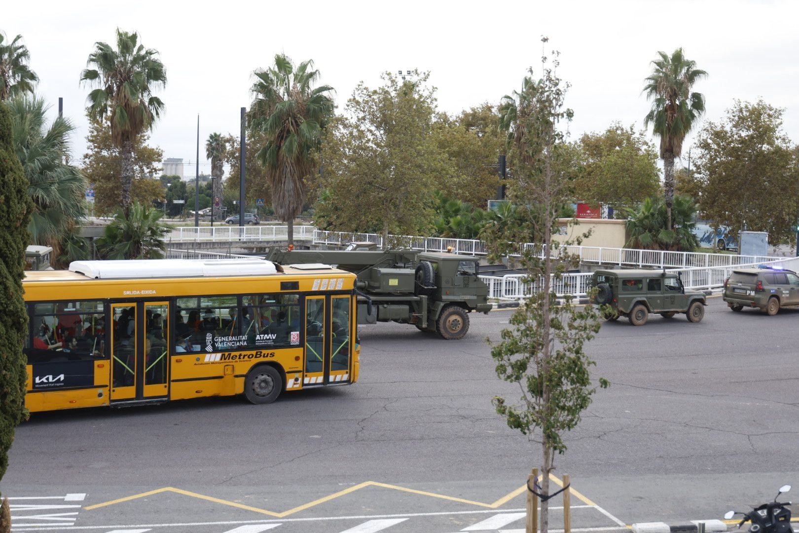 Fotos: voluntarios en la Ciudad de las Artes y las Ciencias de Valencia