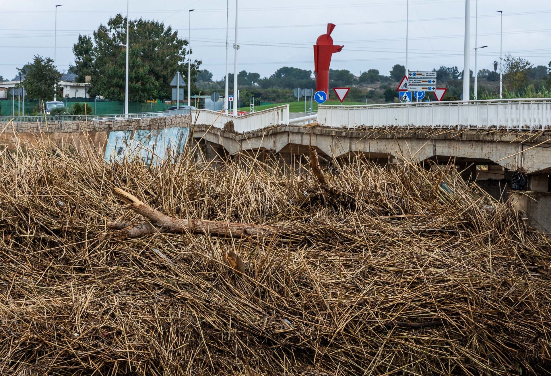 FOTOS | El Parque Natural del Turia ya no existe