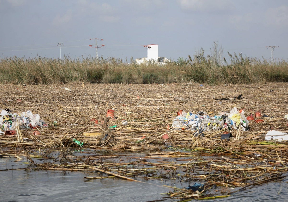 Montones de cañas y basura arrastradas por la DANA en el lago.