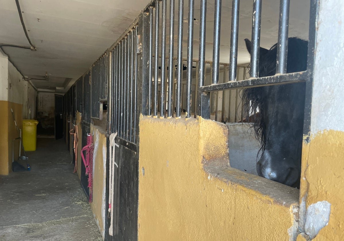 Cuadras en el centro hípico La Mariposa, que esta vez no fueron desalojadas.