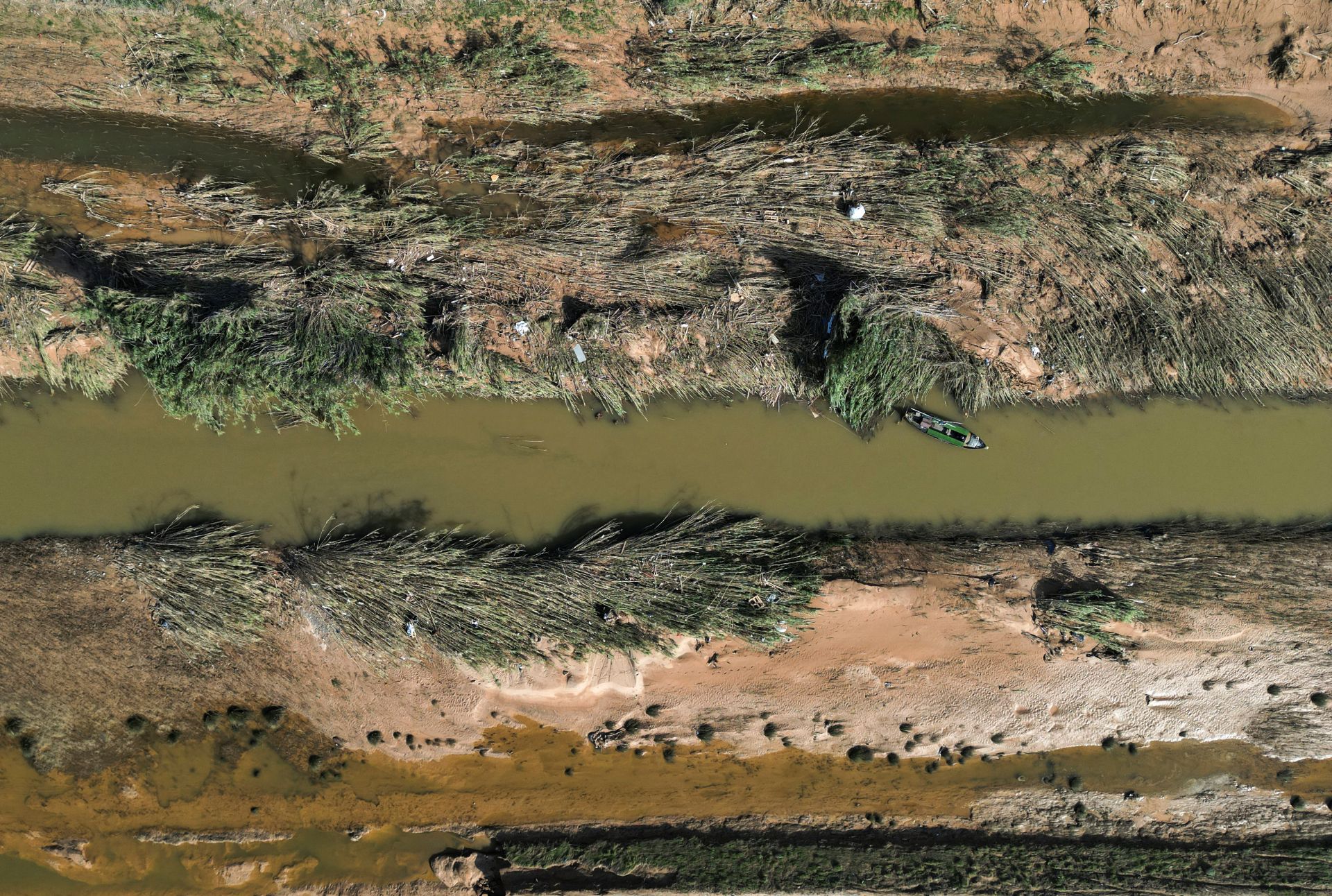 La desoladora imagen de la Albufera tras la DANA